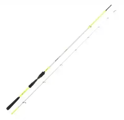 Araki Egi Seika 2,40m